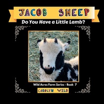 Jacob Sheep