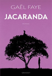 Jacaranda