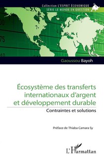 Écosystème des transferts internationaux d'argent et développement durable