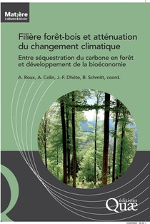 Filière forêt-bois et atténuation du changement climatique: Entre séquestration du carbone en forêt et développement de la bioéconomie