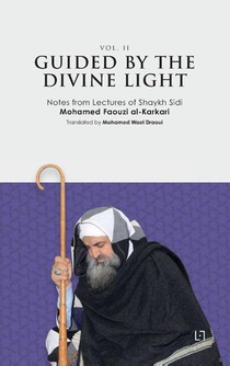 Guided By The Divine Light (Vol. II)