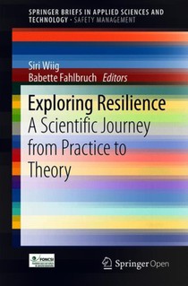 Exploring Resilience