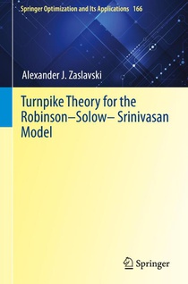 Turnpike Theory for the Robinson–Solow–Srinivasan Model