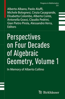 Perspectives on Four Decades of Algebraic Geometry, Volume 1