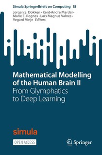 Mathematical Modelling of the Human Brain II
