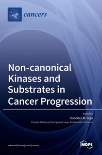 Non-canonical Kinases and Substrates in Cancer Progression