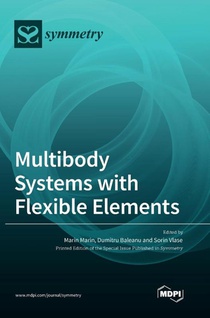 Multibody Systems with Flexible Elements