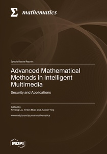 Advanced Mathematical Methods in Intelligent Multimedia
