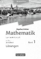 Mathematik Sekundarstufe II - Rheinland-Pfalz. Grundfach Band 1 - Analysis. Lösungen zum Schülerbuch