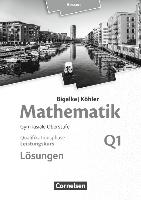 Mathematik Sekundarstufe II Band Q1: Leistungskurs - 1. Halbjahr - Qualifikationsphase - Hessen. Lösungen zum Schülerbuch