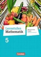 Lernstufen Mathematik 5. Schuljahr. Schülerbuch Hauptschule Nordrhein-Westfalen voorzijde