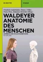 Waldeyer - Anatomie des Menschen