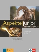 Aspekte junior