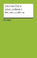 Literaturtheorie