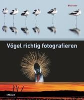 Vögel richtig fotografieren