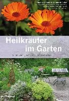 Heilkräuter im Garten voorzijde