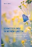 Schmetterlinge in meinem Garten