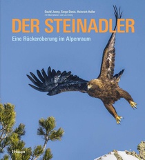 Der Steinadler