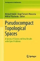 Pseudocompact Topological Spaces