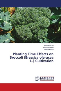 Planting Time Effects on Broccoli (Brassica oleracea L.) Cultivation