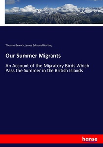 Our Summer Migrants