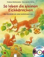 So leben die kleinen Eichhörnchen