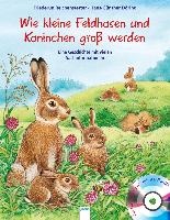 Wie kleine Feldhasen und Kaninchen groß werden voorzijde