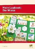 Mein Lapbook: Die Wiese
