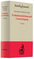 Das Dritte Reich und die Juden