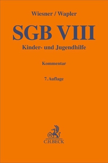 SGB VIII