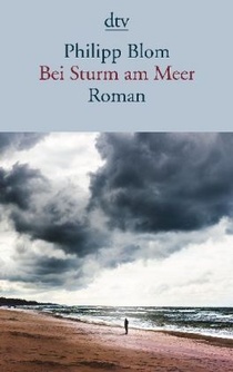 Bei Sturm am Meer