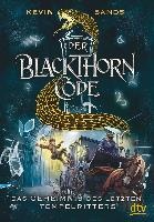 Der Blackthorn-Code 03. Das Geheimnis des letzten Tempelritters voorzijde