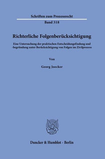 Richterliche Folgenberücksichtigung
