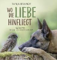 Wo die Liebe hinfliegt