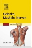 Gelenke, Muskeln, Nerven voorzijde