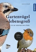 Gartenvögel lebensgroß