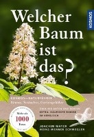 Welcher Baum ist das?