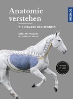 Anatomie verstehen - Die Organe des Pferdes voorzijde