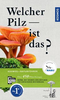 Welcher Pilz ist das?