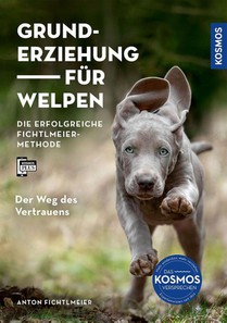 Grunderziehung für Welpen