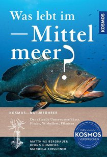 Was lebt im Mittelmeer?
