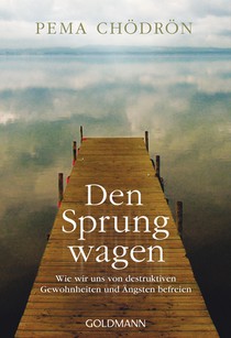 Den Sprung wagen voorzijde