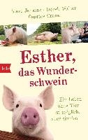 Esther, das Wunderschwein