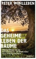 Das geheime Leben der Bäume