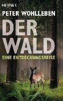 Der Wald