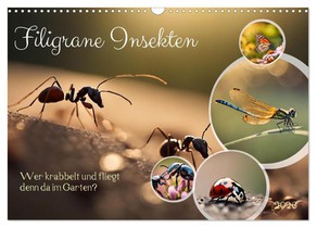 Filigrane Insekten (Wandkalender 2026 DIN A3 quer), CALVENDO Monatskalender