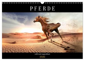 Pferde - wild und ungezähmt (Wandkalender 2026 DIN A3 quer), CALVENDO Monatskalender