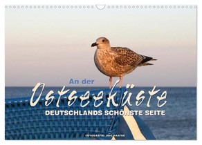 An der Ostseeküste - Deutschlands schönste Seite (Wandkalender 2026 DIN A3 quer), CALVENDO Monatskalender