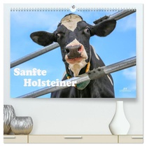 Sanfte Holsteiner (hochwertiger Premium Wandkalender 2026 DIN A2 quer), Kunstdruck in Hochglanz
