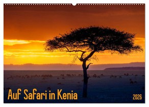 Auf Safari in Kenia 2026 (Wandkalender 2026 DIN A2 quer), CALVENDO Monatskalender